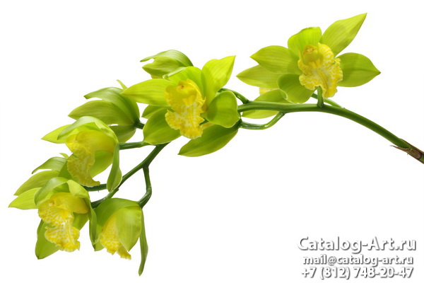 картинки для фотопечати на потолках, идеи, фото, образцы - Потолки с фотопечатью - Желтые и бежевые орхидеи 3